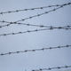 Image for article titled Upsetting Research Shows Nearly Half of Americans Have a Family Member Who's Been Imprisoned